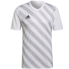 Sporta krekls vīriešiem Adidas Entrada 22 Graphic Jersey, balts cena un informācija | Sporta apģērbs vīriešiem | 220.lv