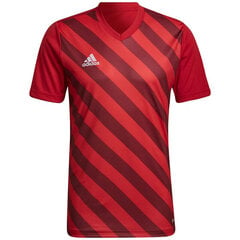 Sporta krekls vīriešiem Adidas Entrada 22 Graphic Jersey, sarkans cena un informācija | Sporta apģērbs vīriešiem | 220.lv