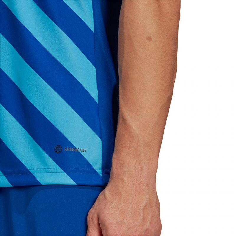 Sporta krekls vīriešiem Adidas Entrada 22 Graphic Jersey, zils cena un informācija | Sporta apģērbs vīriešiem | 220.lv