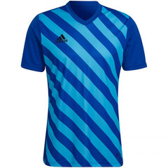 Sporta krekls vīriešiem Adidas Entrada 22 Graphic Jersey, zils цена и информация | Мужская спортивная одежда | 220.lv