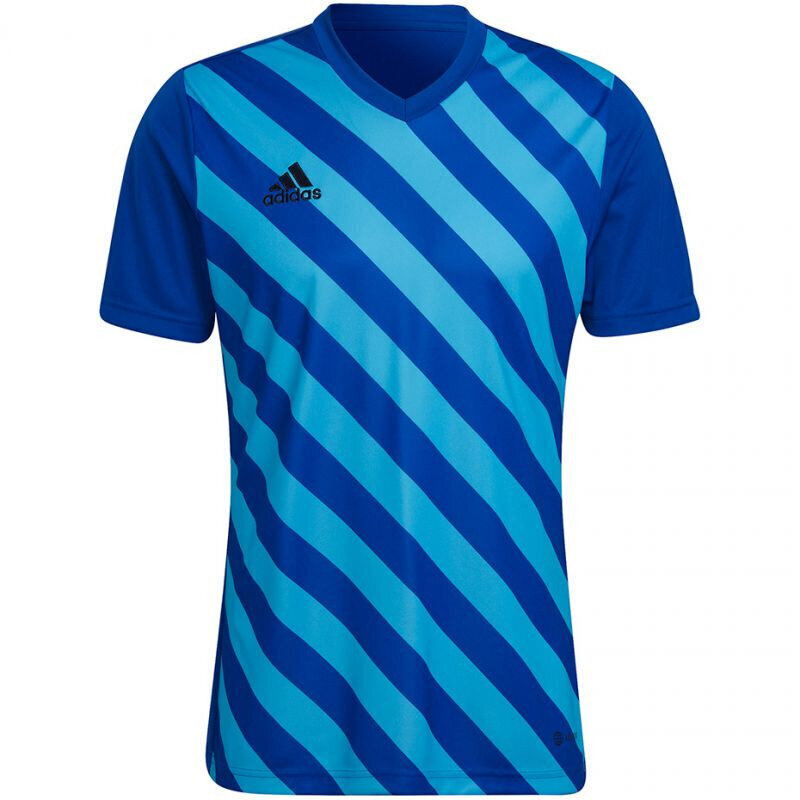 Sporta krekls vīriešiem Adidas Entrada 22 Graphic Jersey, zils cena un informācija | Sporta apģērbs vīriešiem | 220.lv