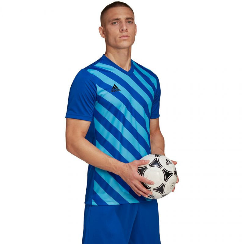 Sporta krekls vīriešiem Adidas Entrada 22 Graphic Jersey, zils cena un informācija | Sporta apģērbs vīriešiem | 220.lv