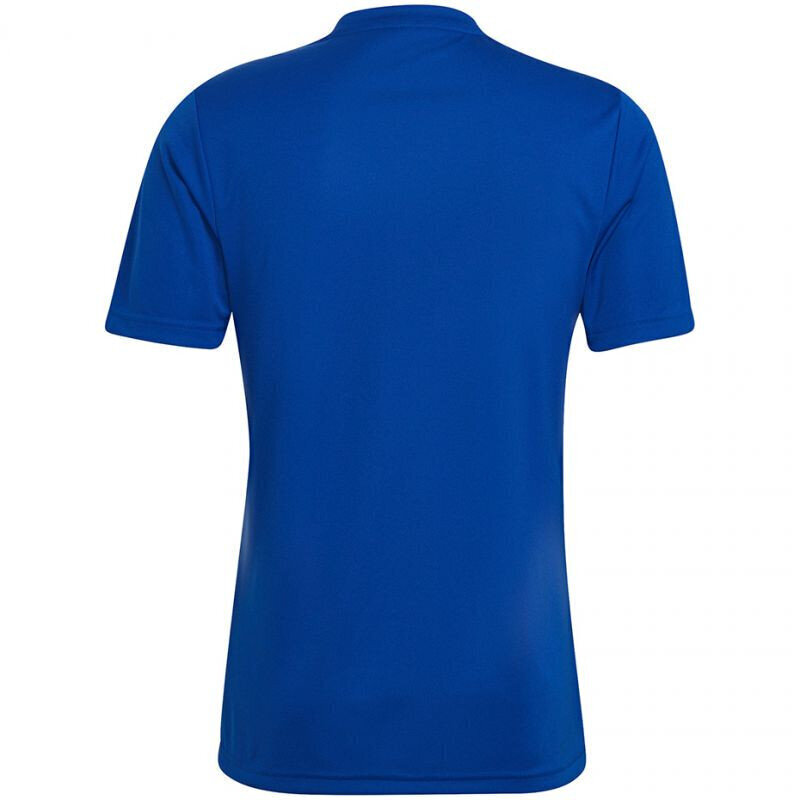 Sporta krekls vīriešiem Adidas Entrada 22 Graphic Jersey, zils cena un informācija | Sporta apģērbs vīriešiem | 220.lv
