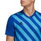 Sporta krekls vīriešiem Adidas Entrada 22 Graphic Jersey, zils cena un informācija | Sporta apģērbs vīriešiem | 220.lv