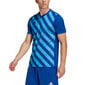 Sporta krekls vīriešiem Adidas Entrada 22 Graphic Jersey, zils цена и информация | Sporta apģērbs vīriešiem | 220.lv