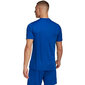 Sporta krekls vīriešiem Adidas Entrada 22 Graphic Jersey, zils цена и информация | Sporta apģērbs vīriešiem | 220.lv