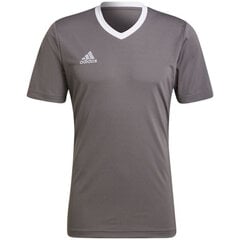 Sporta krekls vīriešiem Adidas Entrada 22 Jersey, pelēks cena un informācija | Sporta apģērbs vīriešiem | 220.lv