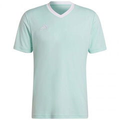 Sporta krekls vīriešiem Adidas Entrada 22 Jersey, zils cena un informācija | Sporta apģērbs vīriešiem | 220.lv