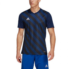 Sporta T-krekls vīriešiem Adidas Entrada 22 Graphic Jersey M HF0131, zils цена и информация | Мужская спортивная одежда | 220.lv