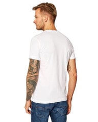 Мужская футболка Calvin Klein Jeans, белая цена и информация | Мужские футболки | 220.lv