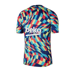 T-krekls vīriešiem Nike FC Barcelona Pre Match 20/21 M CW7750492, zils cena un informācija | Vīriešu T-krekli | 220.lv