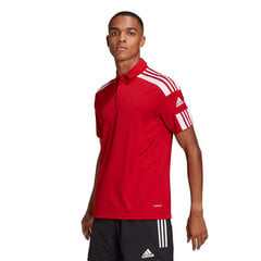 Sporta T-krekls vīriešiem Adidas Squadra 21 Polo M GP6429, sarkans cena un informācija | Sporta apģērbs vīriešiem | 220.lv