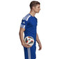 T-krekls vīriešiem Adidas Squadra 21 JSY M GK9154, zils цена и информация | Vīriešu T-krekli | 220.lv