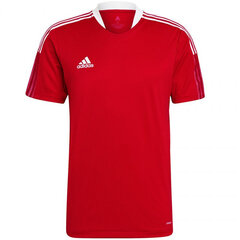 T-krekls vīriešiem Adidas Tiro 21 Training Jersey M GM7588, sarkans cena un informācija | Vīriešu T-krekli | 220.lv