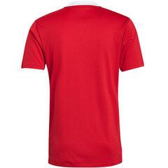T-krekls vīriešiem Adidas Tiro 21 Training Jersey M GM7588, sarkans cena un informācija | Vīriešu T-krekli | 220.lv