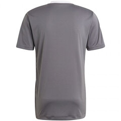 T-krekls vīriešiem Adidas Tiro 21 Training Jersey M GM7587, pelēks цена и информация | Мужские футболки | 220.lv