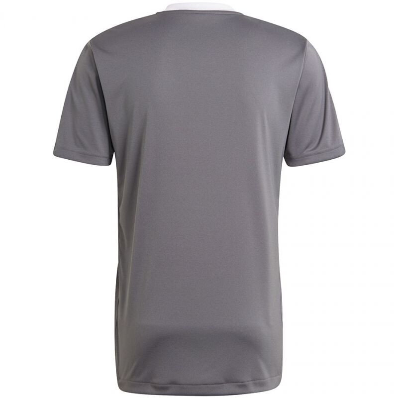 T-krekls vīriešiem Adidas Tiro 21 Training Jersey M GM7587, pelēks цена и информация | Vīriešu T-krekli | 220.lv