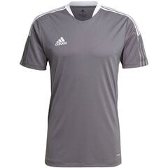 T-krekls vīriešiem Adidas Tiro 21 Training Jersey M GM7587, pelēks цена и информация | Мужские футболки | 220.lv