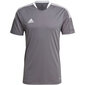 T-krekls vīriešiem Adidas Tiro 21 Training Jersey M GM7587, pelēks цена и информация | Vīriešu T-krekli | 220.lv