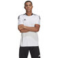 T-krekls vīriešiem Adidas Tiro 21 Training Jersey M GM7590, balts цена и информация | Vīriešu T-krekli | 220.lv