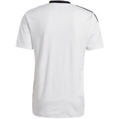 Мужская футболка Adidas Tiro 21 Training Jersey M GM7590, белая цена и информация | Мужские футболки | 220.lv