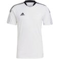 T-krekls vīriešiem Adidas Tiro 21 Training Jersey M GM7590, balts