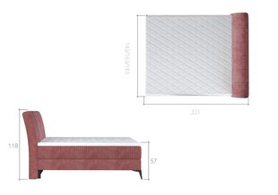 Кровать NORE Aderito, 160x200 см, синяя цена и информация | Кровати | 220.lv