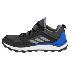 Vīriešu sporta apavi Adidas Terrex Agravic Tr GTX M FW5132 cena un informācija | Sporta apavi vīriešiem | 220.lv