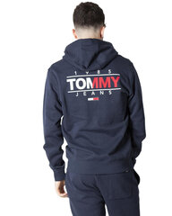 Джемпер мужской Tommy Hilfiger цена и информация | Мужские толстовки | 220.lv