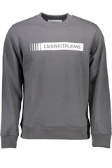 Džemperis vīriešiem Calvin Klein, pelēks cena un informācija | Vīriešu jakas | 220.lv