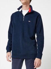 Džemperis vīriešiem Tommy Jeans 8719858319784 цена и информация | Мужские толстовки | 220.lv