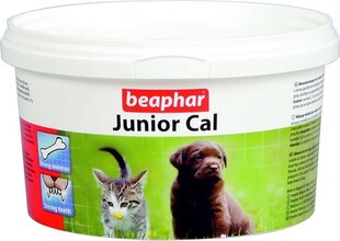Kalcija preparāts kucēniem un kaķēniem Beaphar, 200 g cena un informācija | Vitamīni, uztura bagātinātāji, pretparazītu līdzekļi suņiem | 220.lv
