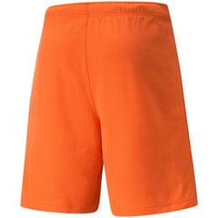 Šorti vīriešiem Puma TeamRise Short Prist M 704942 08, oranži cena un informācija | Vīriešu šorti | 220.lv