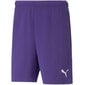 Šorti vīriešiem Puma TeamRise Short Prist M 704942 10, violeti цена и информация | Vīriešu šorti | 220.lv