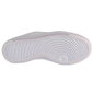 Sporta apavi sievietēm Nike Court Vision Alta Ltr W DM0113-100, balti cena un informācija | Sporta apavi sievietēm | 220.lv