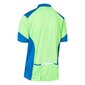 Riteņbraukšanas krekls Dudley - 1/2 ZIP Active T-Shirt cena un informācija | Sporta apģērbs vīriešiem | 220.lv