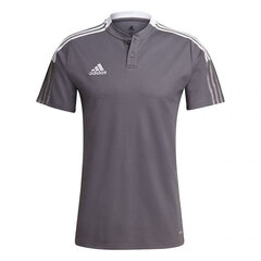 Мужская футболка Adidas Tiro 21 Polo M GM7364, серая цена и информация | Мужская спортивная одежда | 220.lv