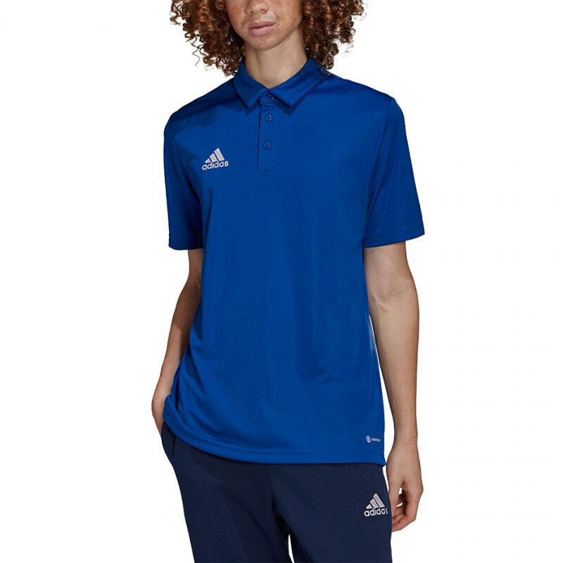 Sporta krekls vīriešiem Adidas Entrada 22 Polo, zils цена и информация | Sporta apģērbs vīriešiem | 220.lv