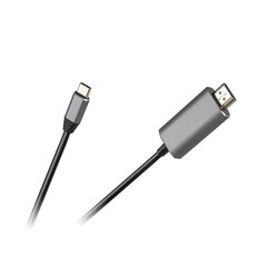 Kabelis HDMI - USB C, 1 m cena un informācija | Kabeļi un vadi | 220.lv