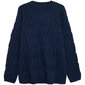 Džemperis sievietēm Outhorn Sweater W HOZ21 SWD605 30S HOZ21SWD60530S, zils cena un informācija | Sieviešu džemperi | 220.lv