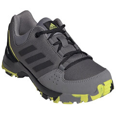 Мужские кеды Adidas Terrex Hyperhiker Low K Jr FX4190 цена и информация | Кроссовки для мужчин | 220.lv