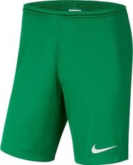 Šorti vīriešiem Nike Dry Park III BV6855 302, zaļi цена и информация | Мужская спортивная одежда | 220.lv