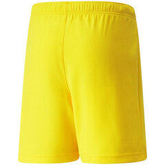 Шорты для мальчиков Puma TeamRise Short Jr 704943 07, желтые цена и информация | Шорты для мальчиков | 220.lv