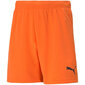 Šorti zēniem Puma TeamRise Short Jr 704943 08, oranži цена и информация | Zēnu šorti | 220.lv