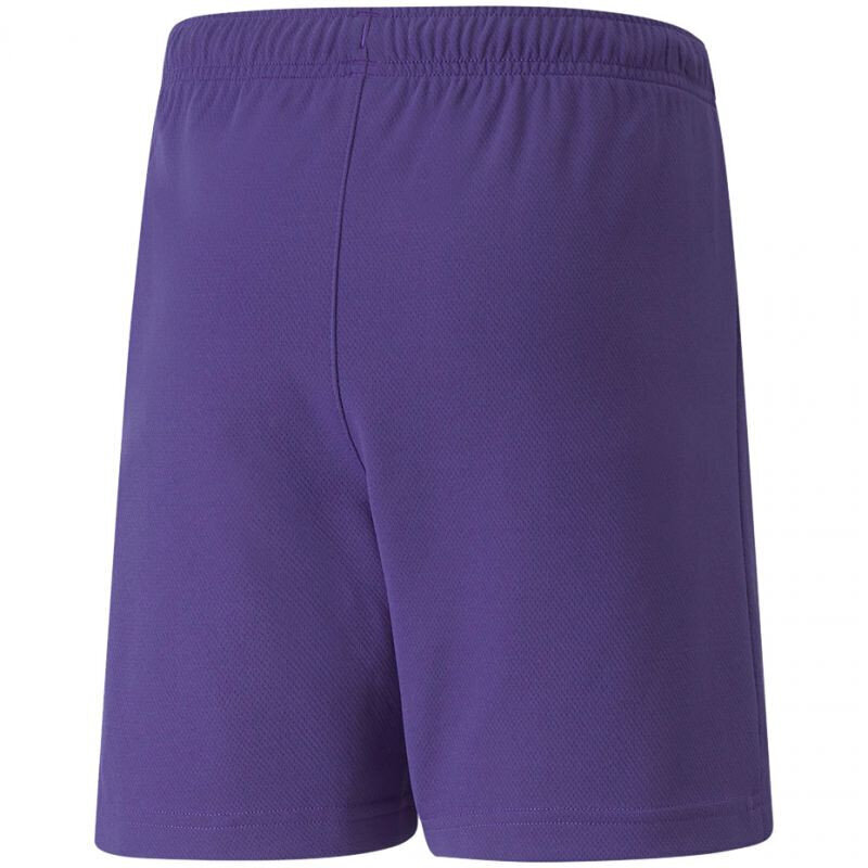 Šorti zēniem Puma TeamRise Short Jr 704943 10, violeti cena un informācija | Zēnu šorti | 220.lv