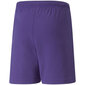 Šorti zēniem Puma TeamRise Short Jr 704943 10, violeti цена и информация | Zēnu šorti | 220.lv