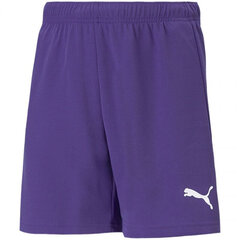 Šorti zēniem Puma TeamRise Short Jr 704943 10, violeti cena un informācija | Puma Apģērbs zēniem | 220.lv