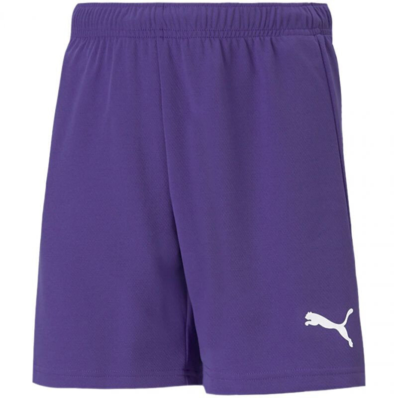 Šorti zēniem Puma TeamRise Short Jr 704943 10, violeti цена и информация | Zēnu šorti | 220.lv