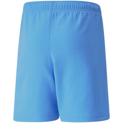 Шорты для мальчиков Puma TeamRise Short Jr 704943 18, синие цена и информация | Zēnu šorti | 220.lv