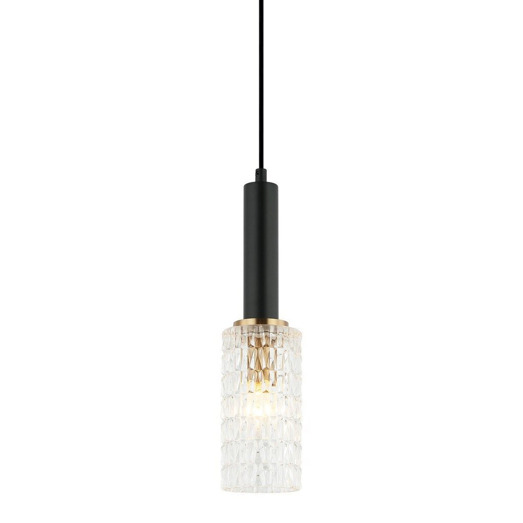 Iekarināma lampa PND-43363-1 BK + BR cena un informācija | Lustras | 220.lv